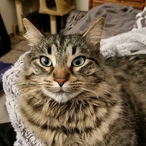 Meet your Posher, Melanie